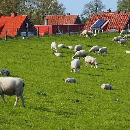 In Halstenbek * Schillig